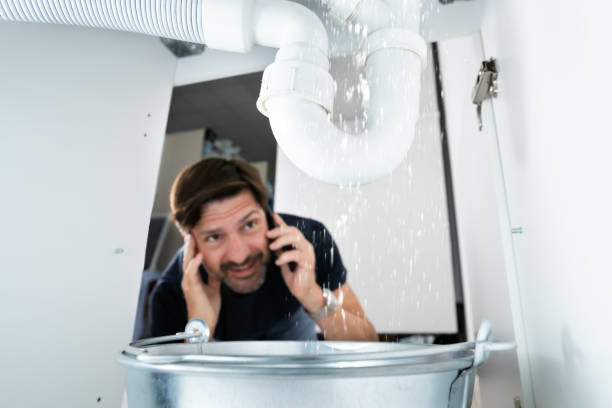 Best Toilet Repair Services  in Scandia, MN