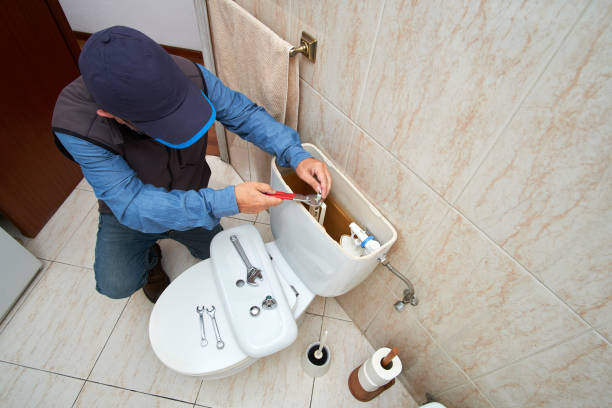 Best Plumbing Services Near Me  in Scandia, MN