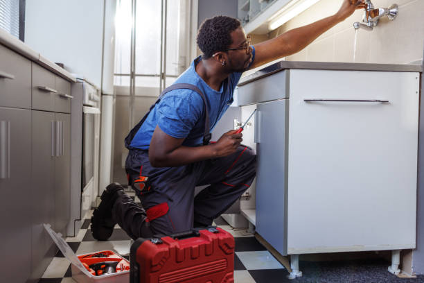 Best Water Softener Installation  in Scandia, MN